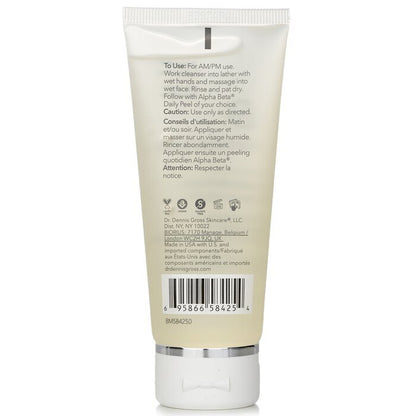 Dr Dennis Gross Alpha Beta AHA/BHA Daily Cleansing Gel 60ml